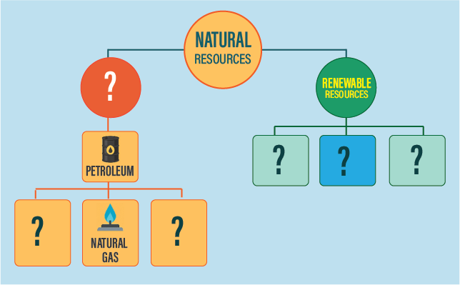 Diagram: shoot bending upward toward sunlight and root growing downward into soil