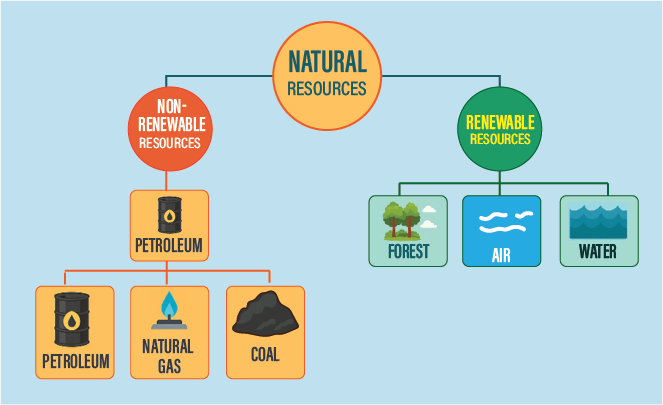 Diagram: shoot bending upward toward sunlight and root growing downward into soil