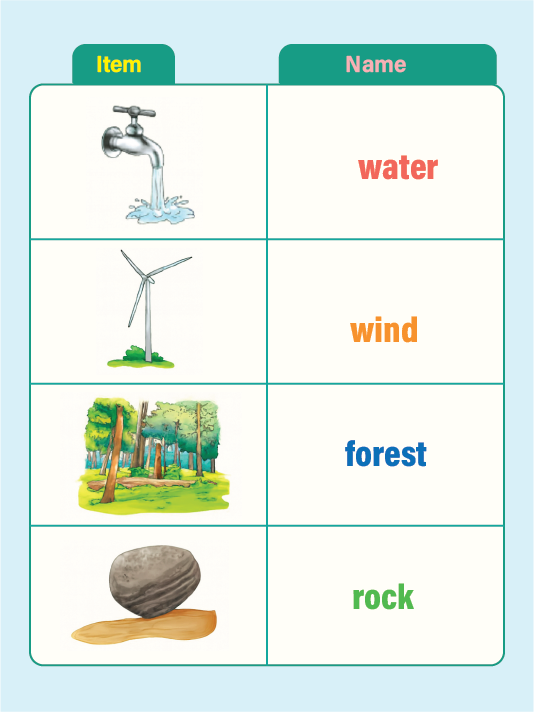 Diagram: shoot bending upward toward sunlight and root growing downward into soil