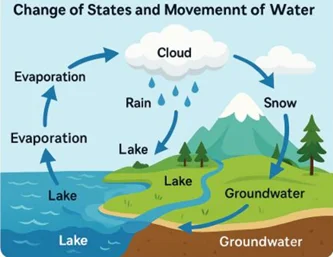 Diagram of the Water Cycle showing evaporation, condensation, and precipitation