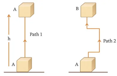 Does path matter in potential energy – same height same potential energy