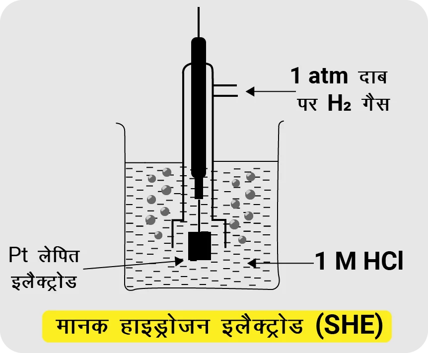 Standard Hydrogen Electrode (SHE) labelled diagram